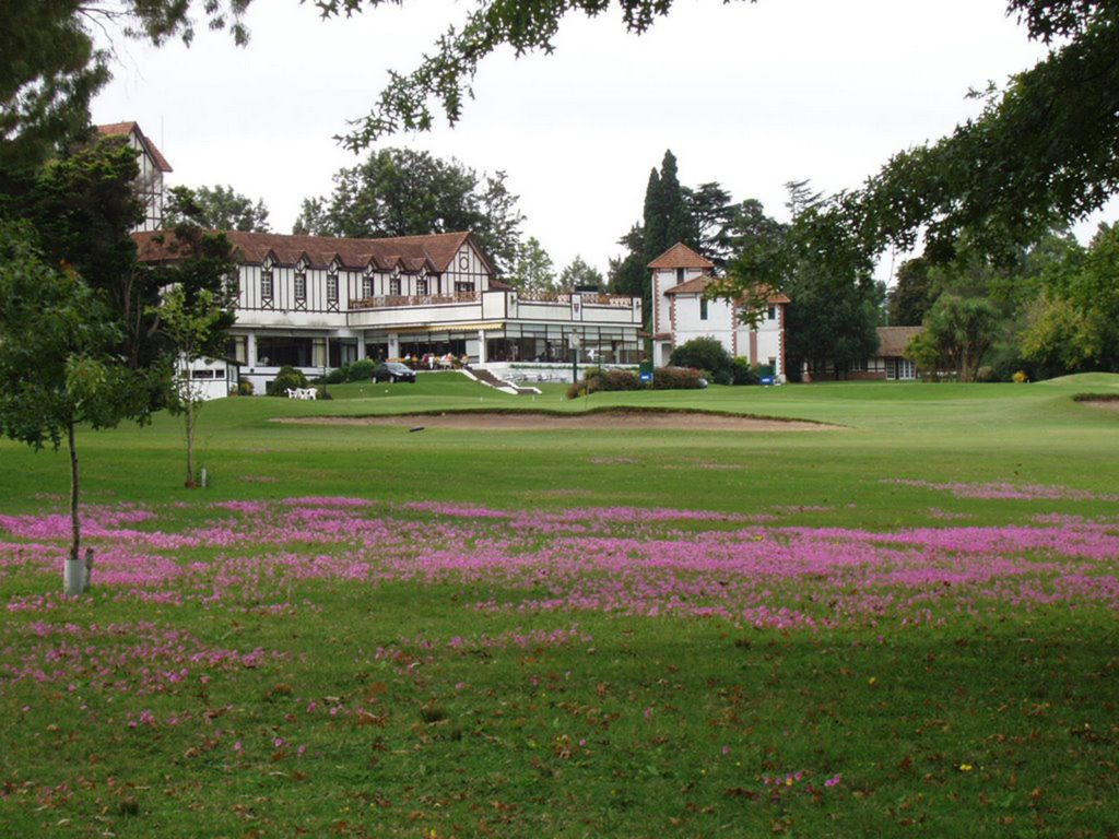 A large house with many flowers in the grass.