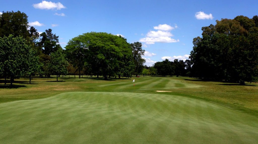 A golf course with trees and grass on the side.