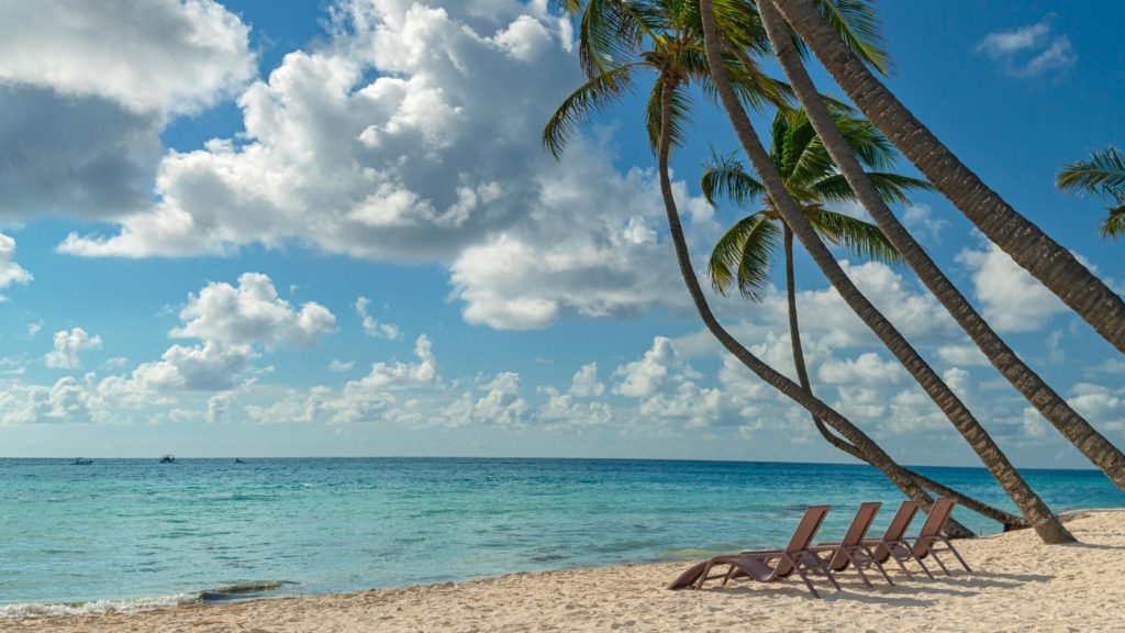 A beach with two chairs and palm trees