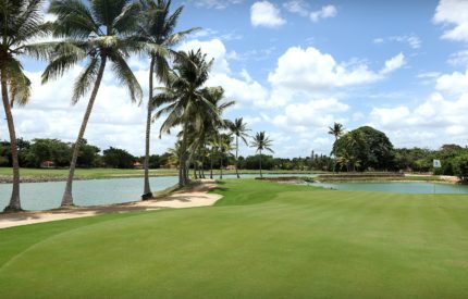 A golf course with palm trees and water