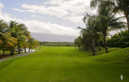 A golf course with palm trees and grass.