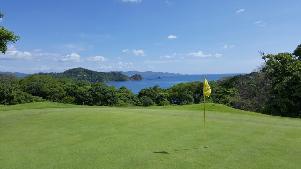 A golf course with a yellow flag and some trees