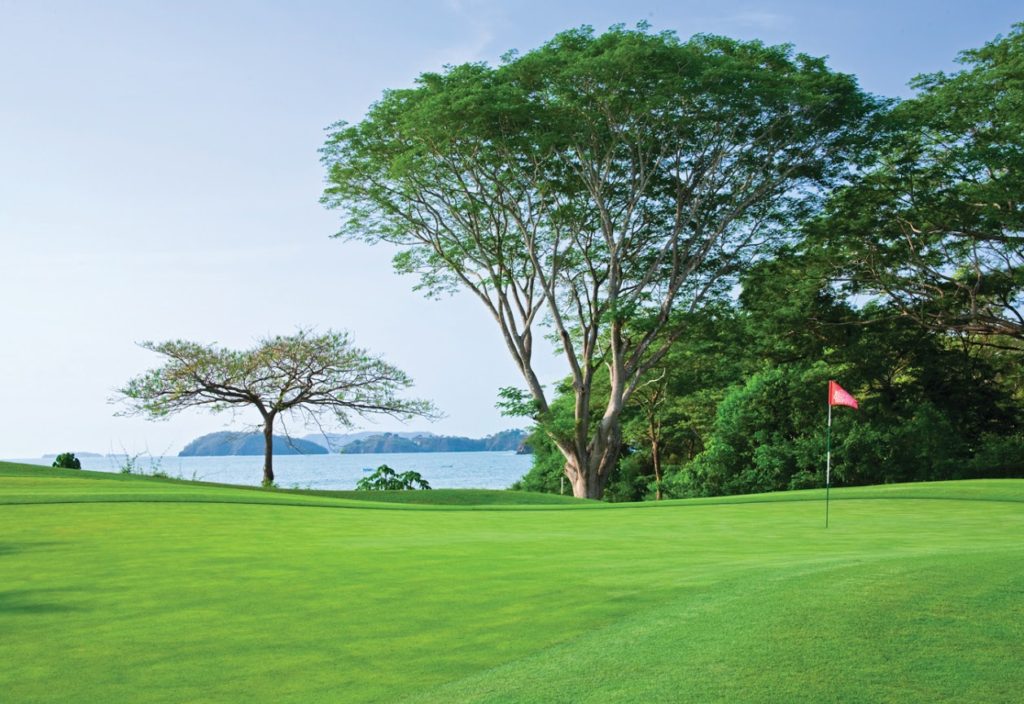 A golf course with trees and water in the background.