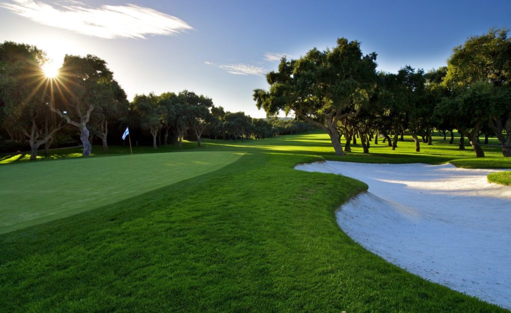 A golf course with trees and sand on the green.