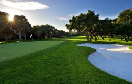 A golf course with trees and sand on the green.