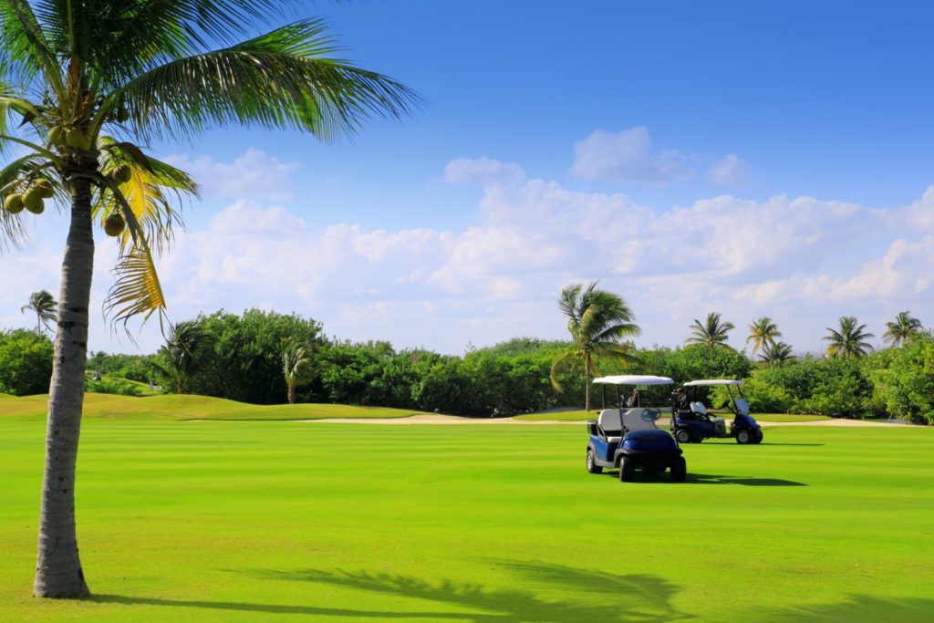 Two golf carts are parked on a green.