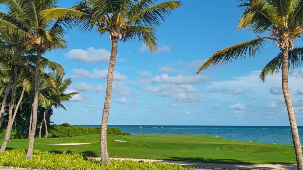 A palm tree next to the ocean on a golf course.
