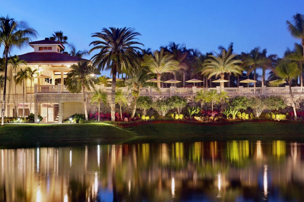 A large pond with palm trees in the background.