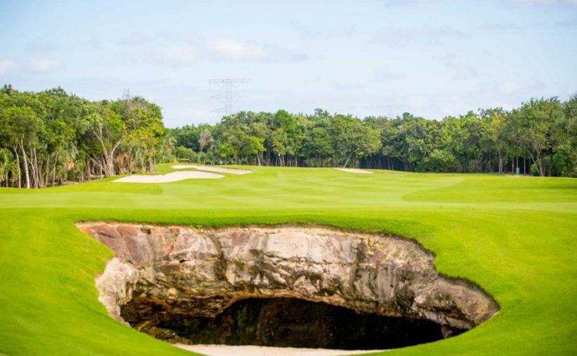 A golf course with trees and bushes in the background.