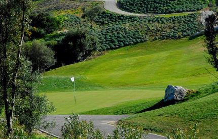 A golf course with trees and grass on the side.