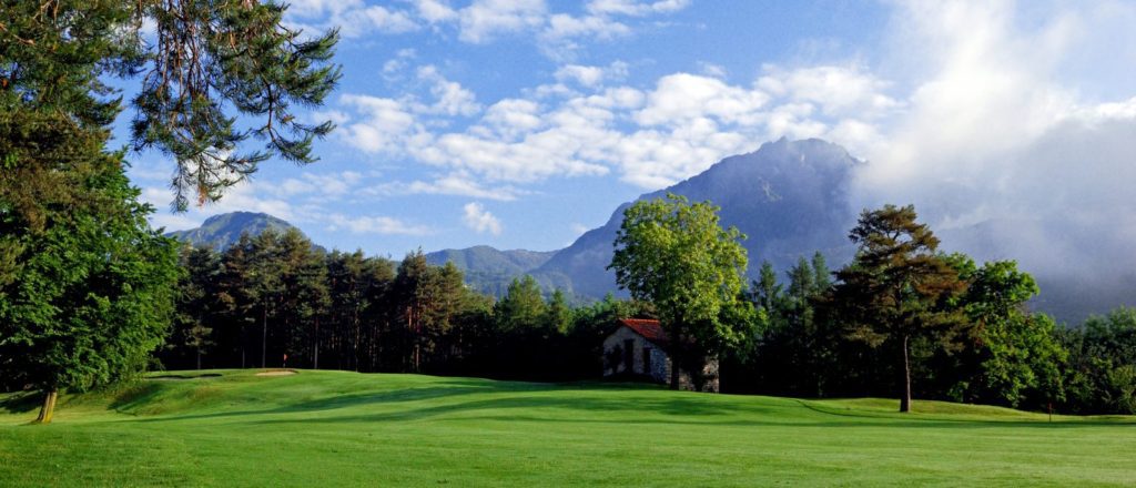 A green field with trees and mountains in the background.