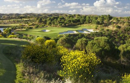 A view of the golf course from above.