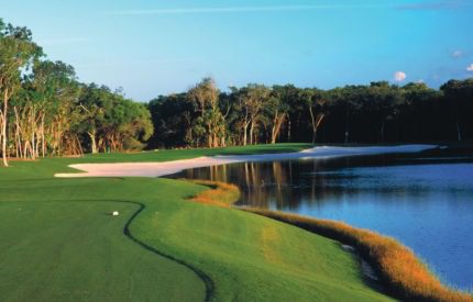 A golf course with trees and water in the background.