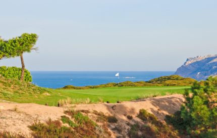 A golf course with a flag on the green.