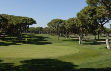 A golf course with trees and grass on the side.