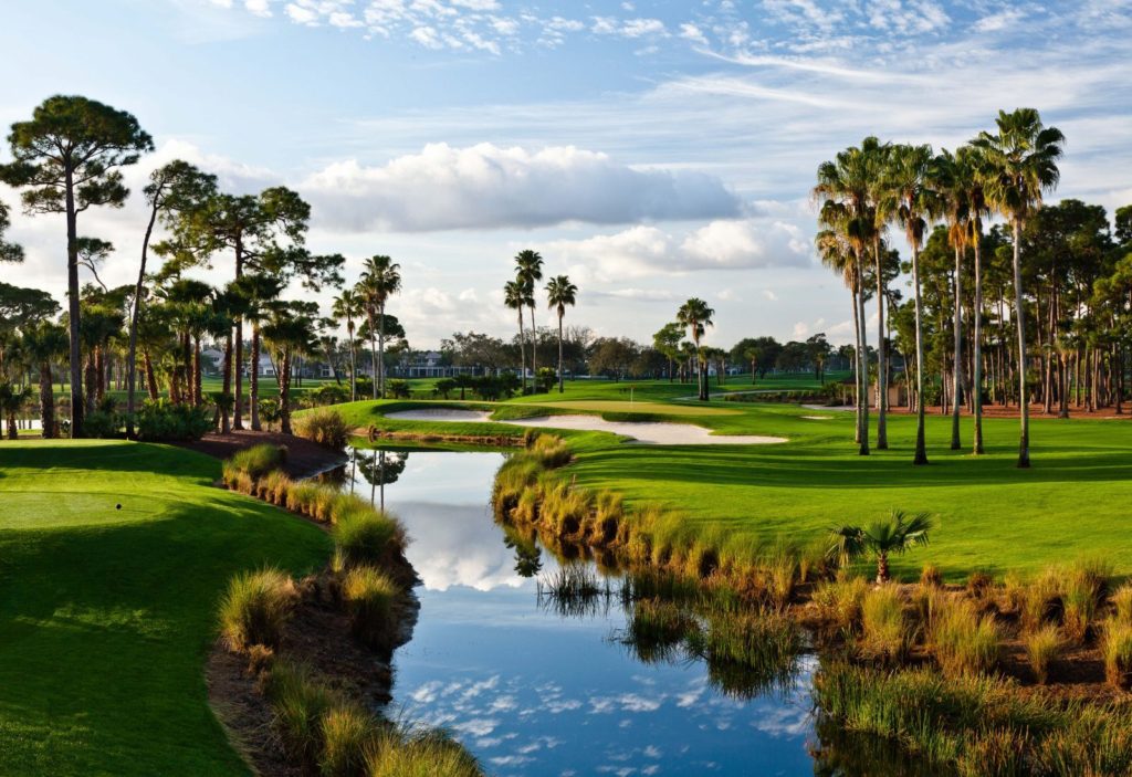 A golf course with palm trees and water