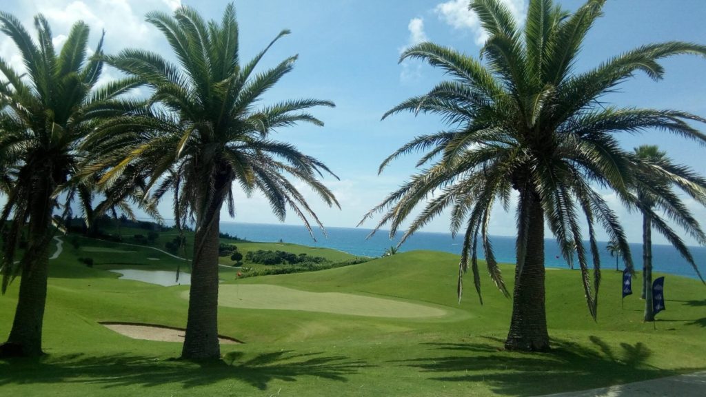 Two palm trees on a golf course with the ocean in the background.