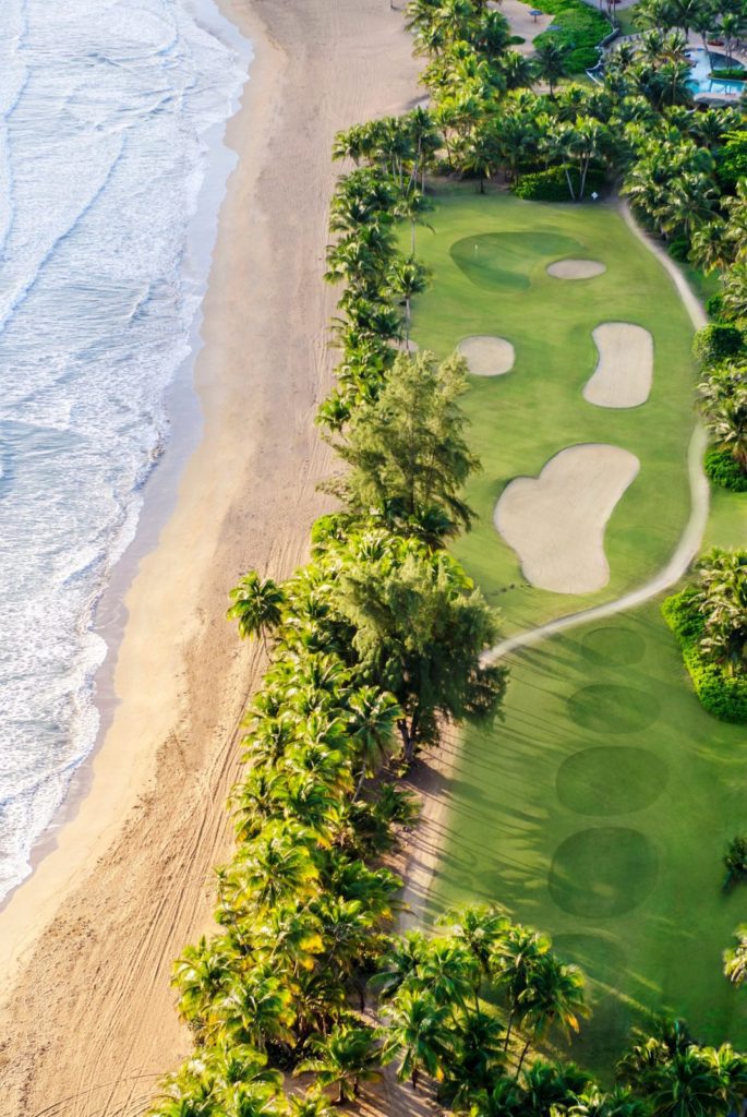 A golf course with trees and sand on the beach.