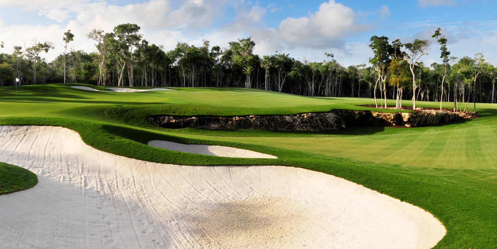 A golf course with trees and bushes in the background.