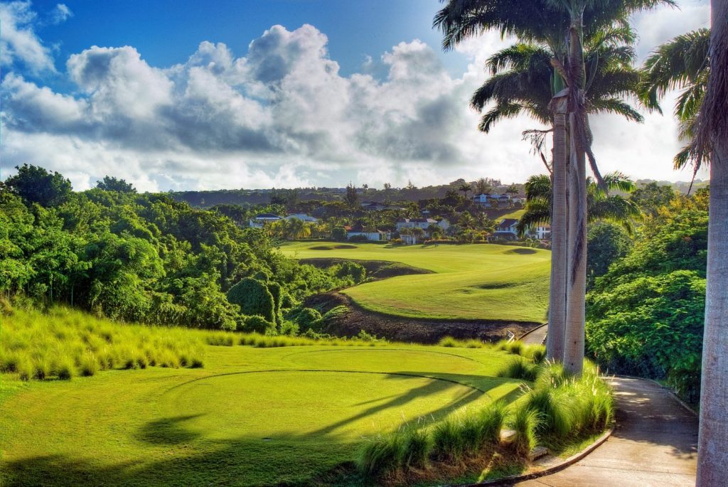 A view of a golf course with trees and grass.