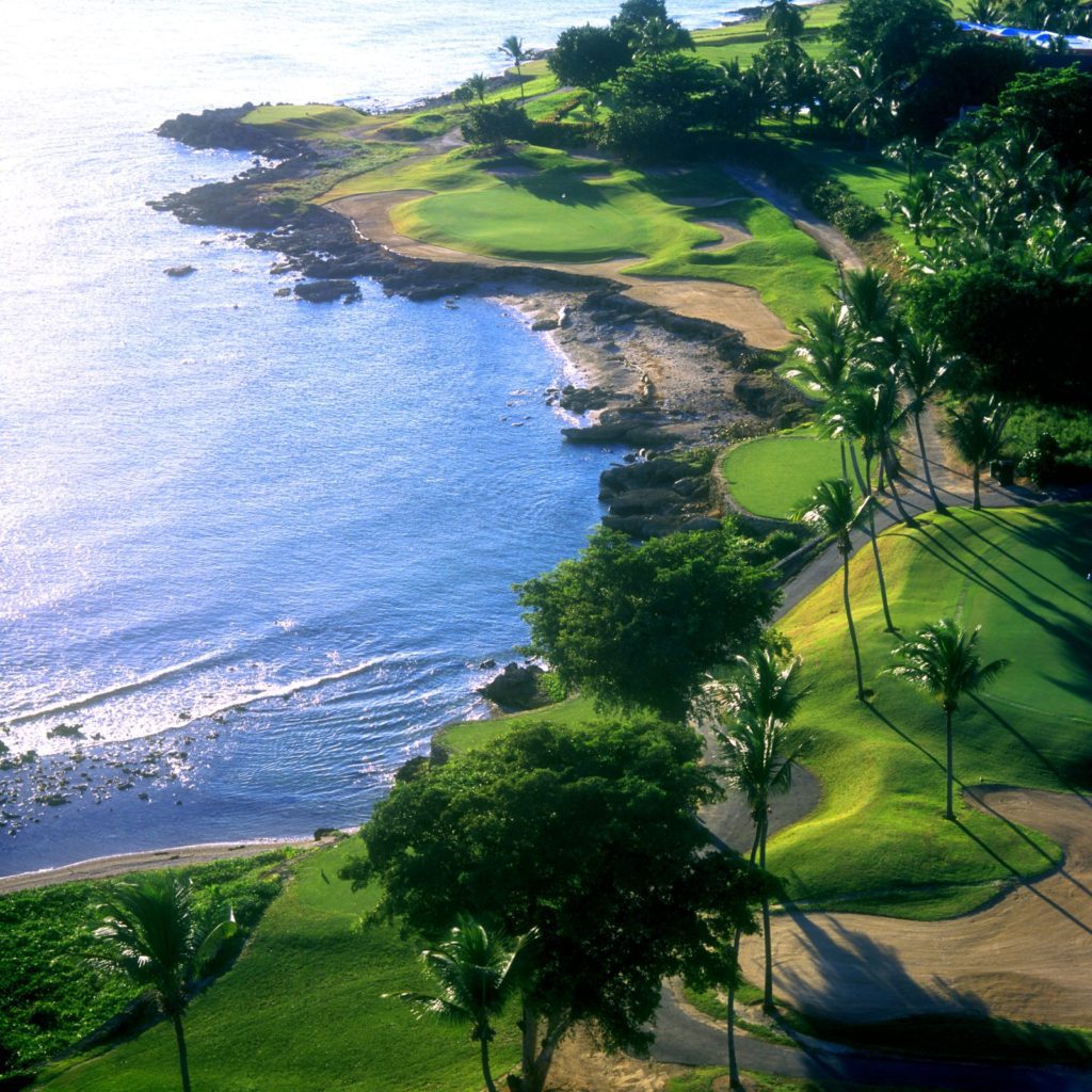 A view of the ocean from above shows palm trees and grass.