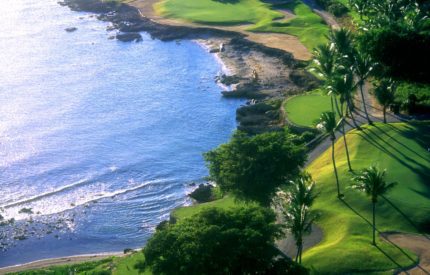 A view of the ocean from above shows palm trees and grass.