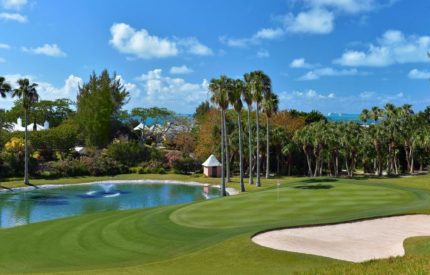 A golf course with trees and water in the background.