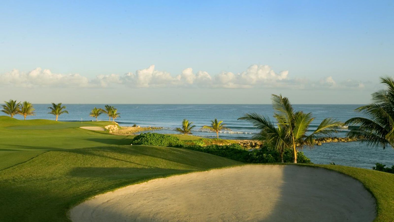 A golf course with sand traps and palm trees.