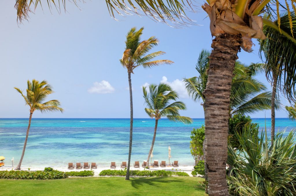 A view of the beach from across the street.