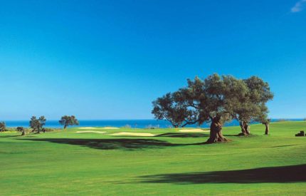 A golf course with trees and grass on the side of it.