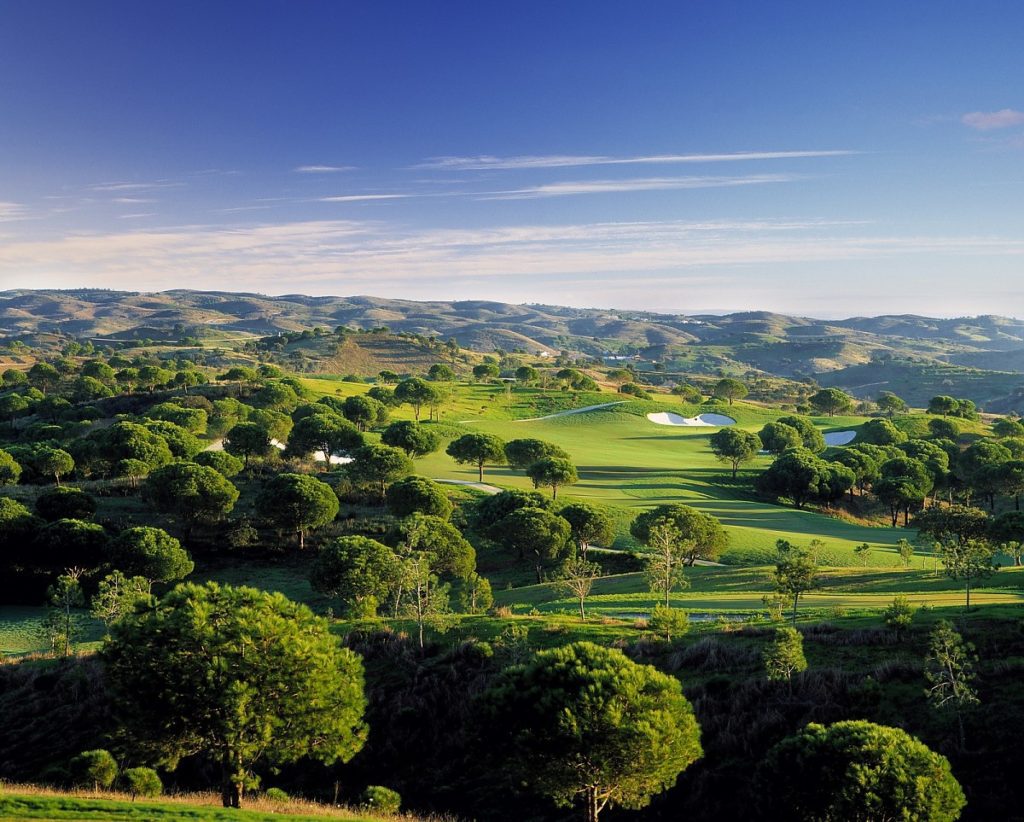 A view of a golf course with trees in the foreground.