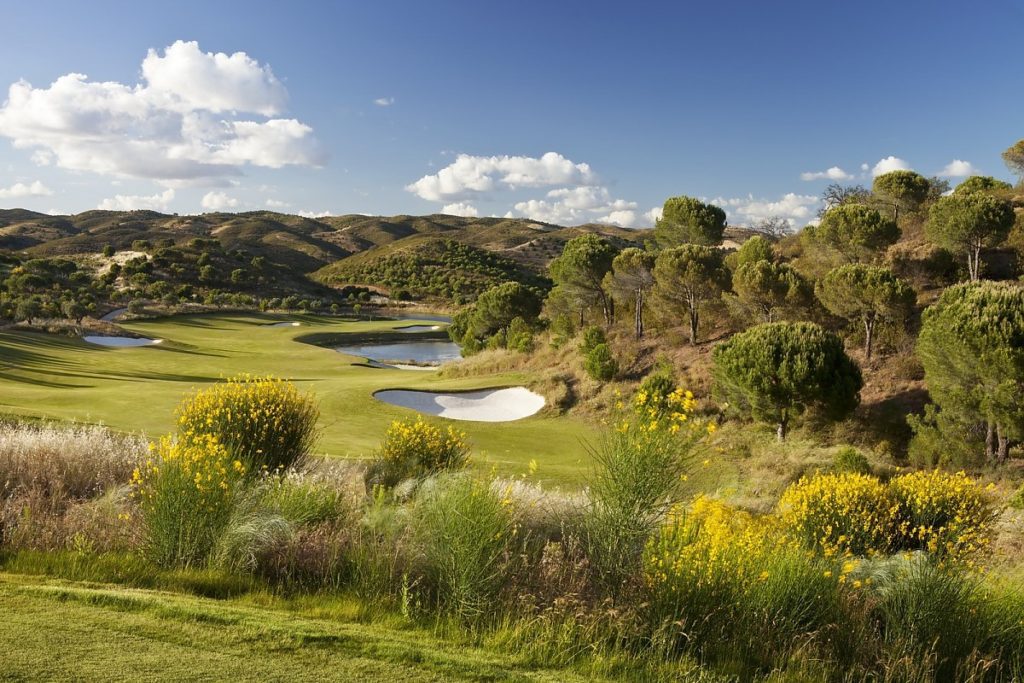 A golf course with many bushes and trees