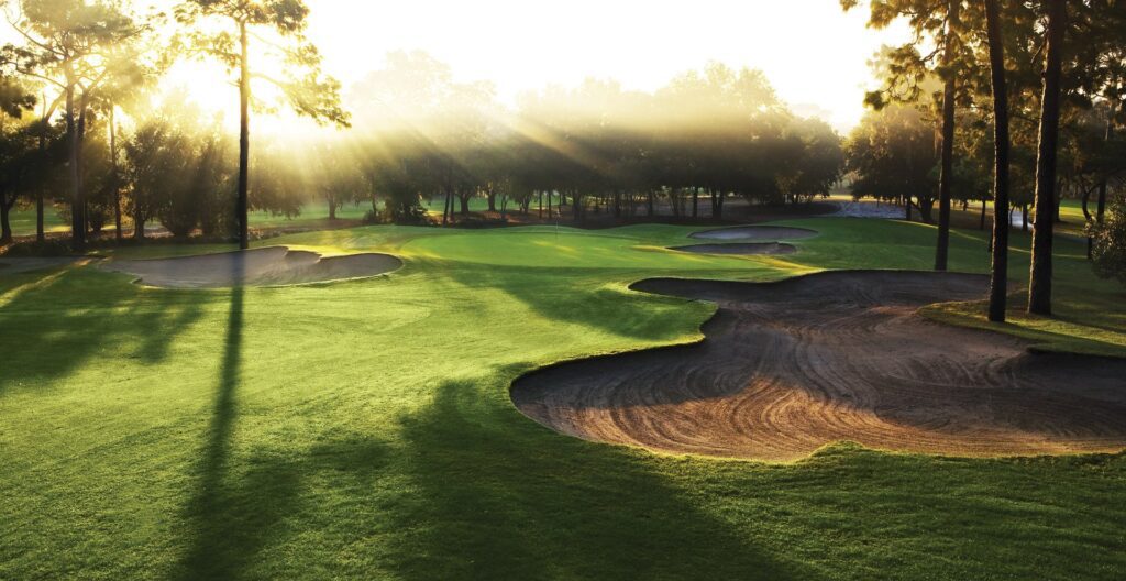 Golf course with sand traps and trees.