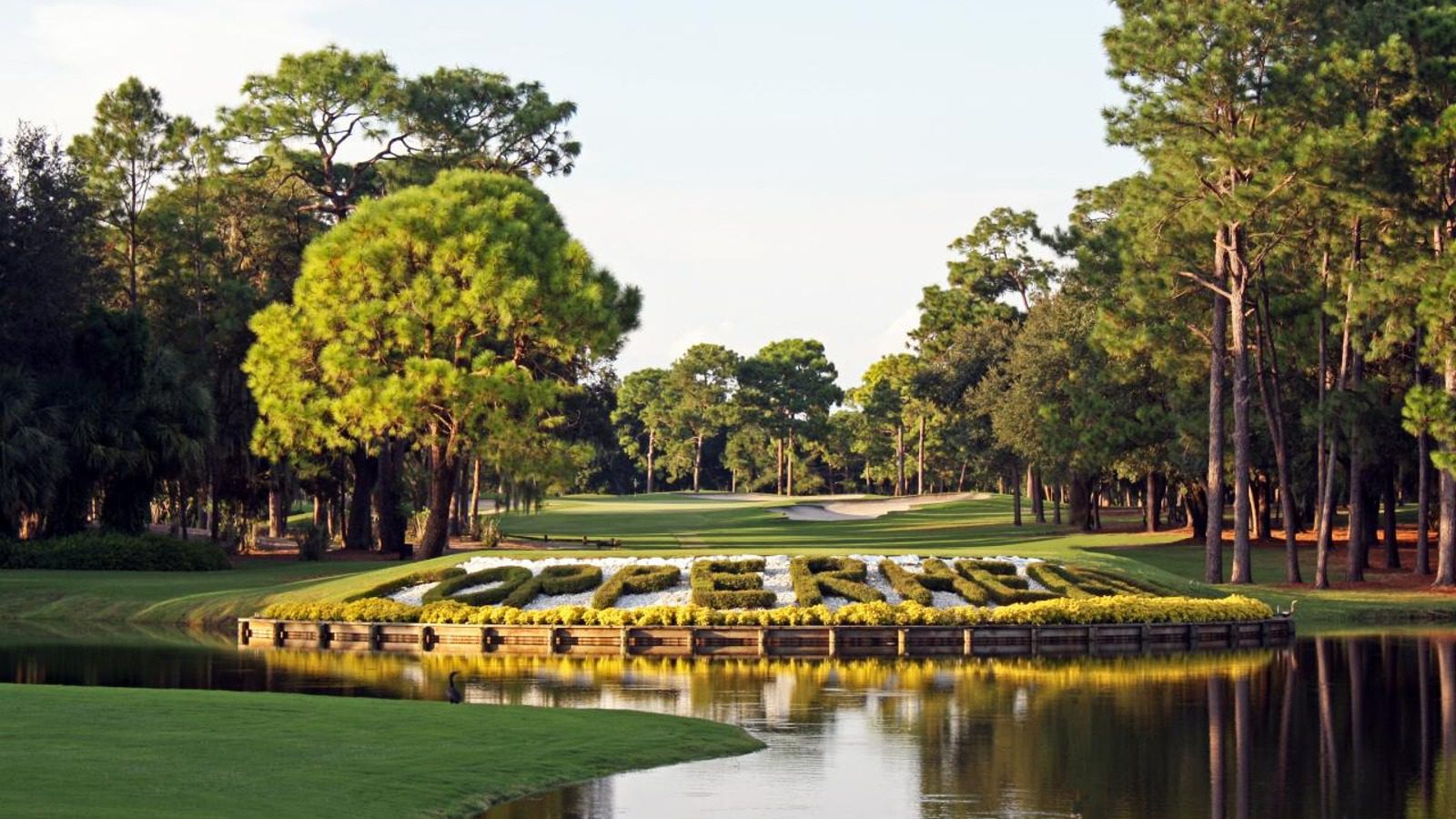 Golf course with a pond and trees.