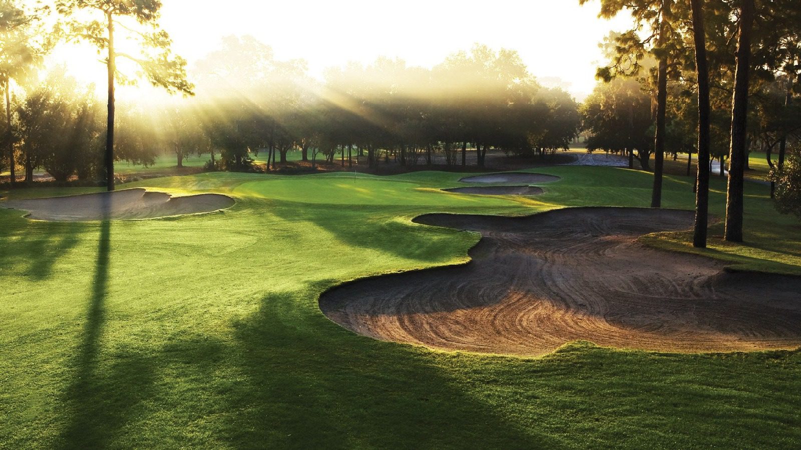 Golf course with sand trap and trees.